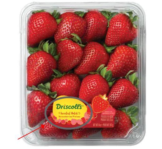 最新爆料草莓图片,最新爆料图片揭秘诱人果实风采